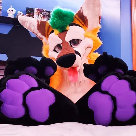 OnlyFans cuenta thepineapplefox avatar 1