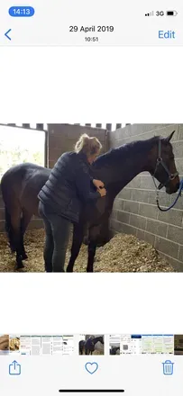OnlyFans cuenta equinemassage header 2