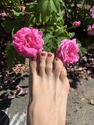 OnlyFans cuenta sage-sole avatar 1