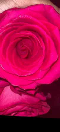 OnlyFans cuenta yiyi_love1 header 2