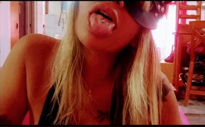 OnlyFans account  tuzorritatraviesa avatar 1