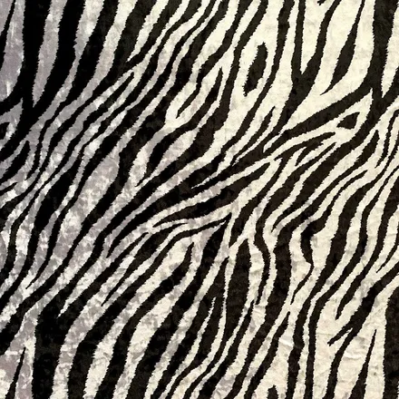 OnlyFans cuenta favlilzebra69 header 2
