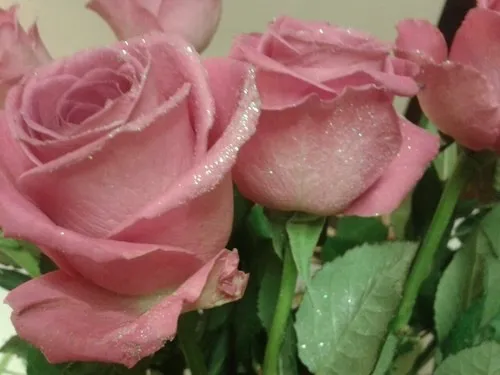 OnlyFans cuenta prxtty.girl00 header 2