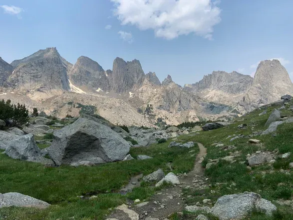 OnlyFans cuenta wildernessbrat header 2