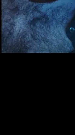 OnlyFans cuenta spankojono header 2