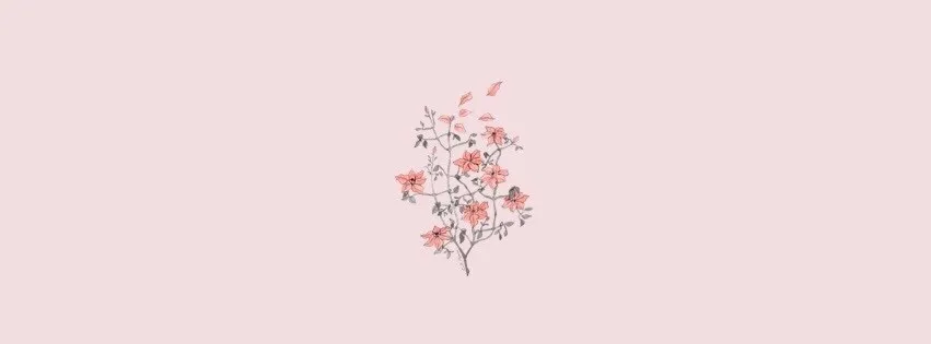OnlyFans cuenta honeyblossoms header 2