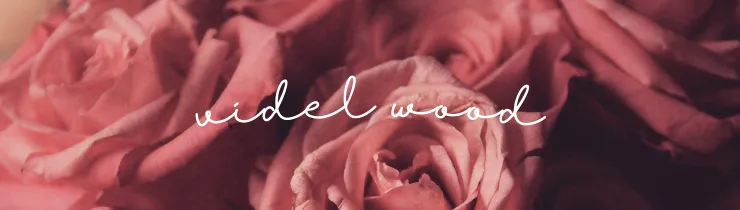 OnlyFans cuenta videl_wood header 2
