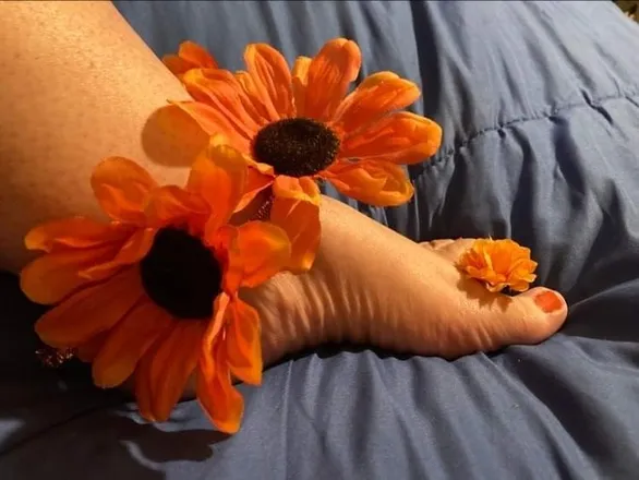 OnlyFans cuenta ms.tator-tot header 2