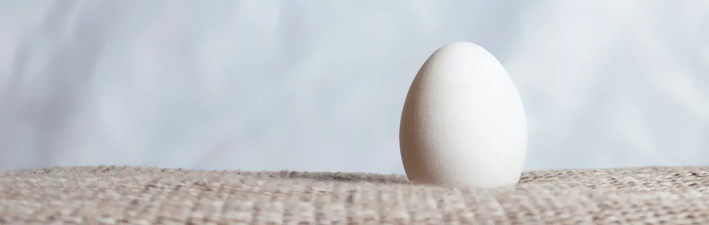 OnlyFans account  an_egg header 2
