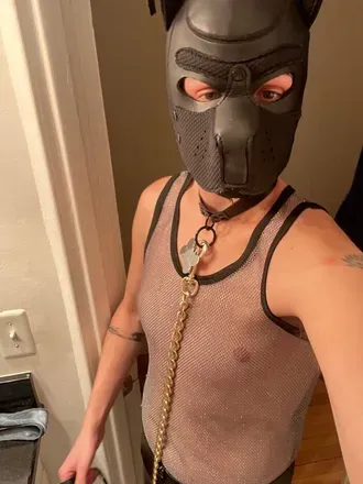 OnlyFans cuenta pupmaverickk avatar 1