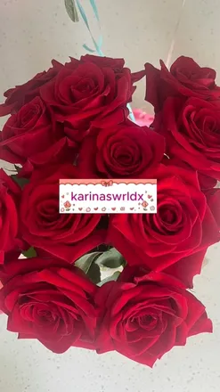 OnlyFans account  karinaswrldx header 2