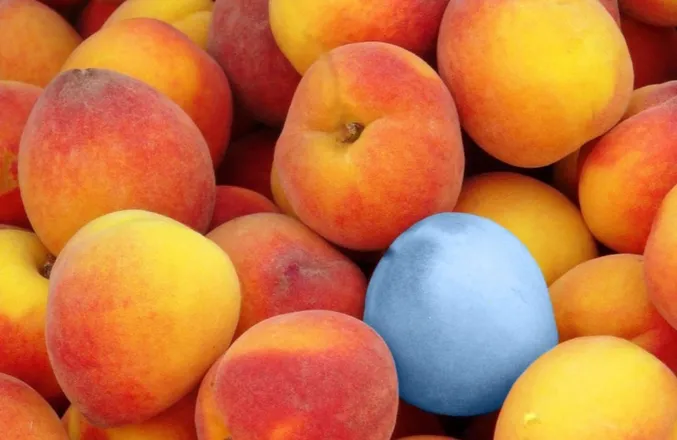 OnlyFans cuenta blue_peach header 2