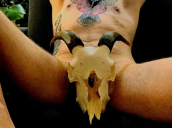 OnlyFans account  averybody header 2