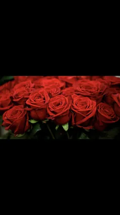 OnlyFans cuenta cinnamonrose71 header 2