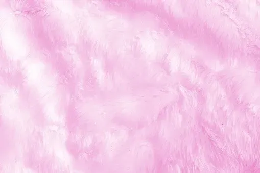 OnlyFans cuenta mojigata header 2