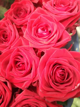 OnlyFans cuenta iprinces header 2
