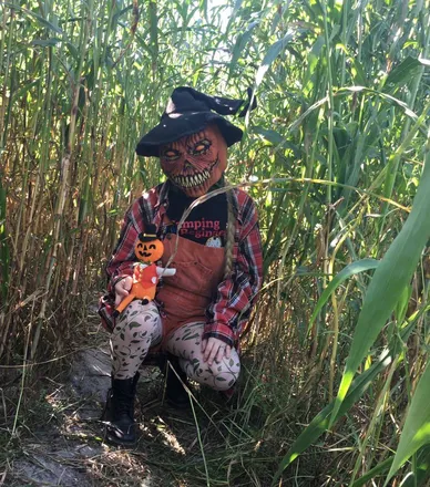 OnlyFans account  pumpkinpup header 2