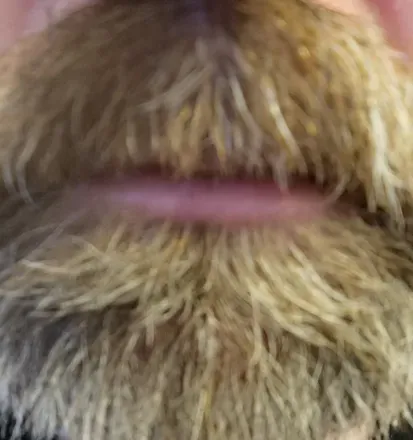 OnlyFans cuenta bearfootenthusiast avatar 1