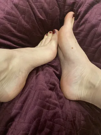 OnlyFans account  lysafeet header 2