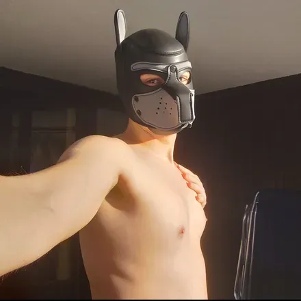 OnlyFans cuenta stormpuppy7 avatar 1