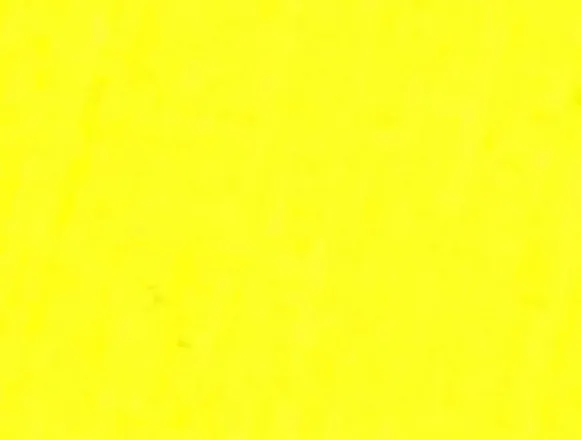 OnlyFans cuenta guccinmuri header 2