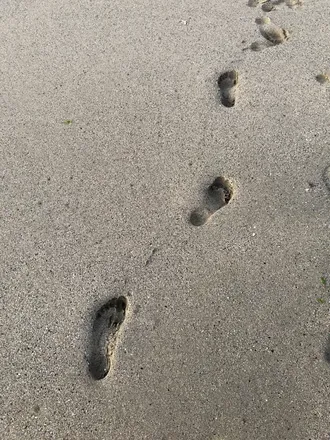 OnlyFans cuenta victoriaasfeet header 2