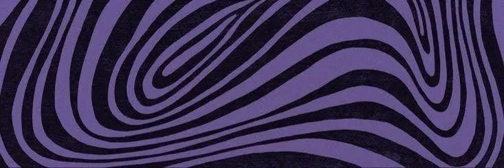 OnlyFans account  prospaca header 2