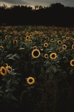 OnlyFans cuenta chaotic_emo header 2