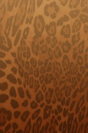 OnlyFans cuenta xoxowoahhdri header 2