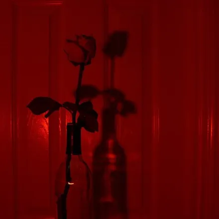 OnlyFans cuenta candiicameron header 2