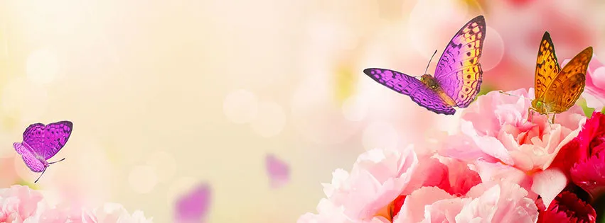 OnlyFans cuenta yagirlray header 2