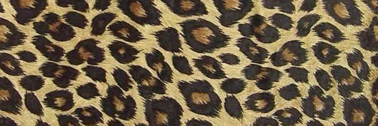 OnlyFans cuenta cuteandsasssy header 2