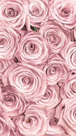 OnlyFans cuenta g0ldenp header 2