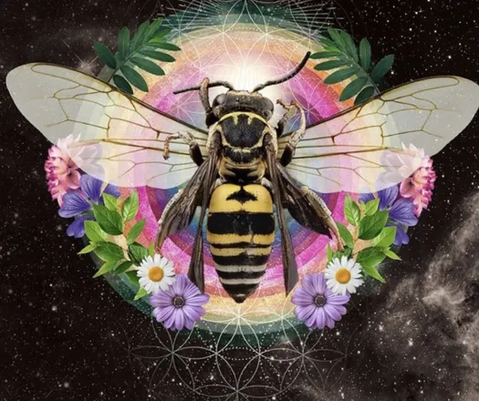 OnlyFans cuenta bumblewiththebee header 2