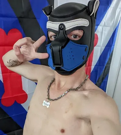 OnlyFans cuenta thescoutisout avatar 1