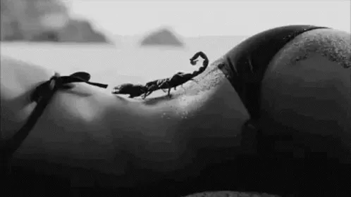 OnlyFans cuenta peacockkhaleesi header 2