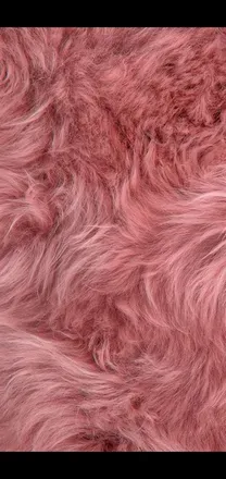 OnlyFans cuenta luxe.louise header 2