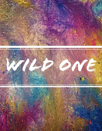 OnlyFans cuenta wildone86 header 2