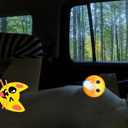 OnlyFans account  potatoslxt header 2