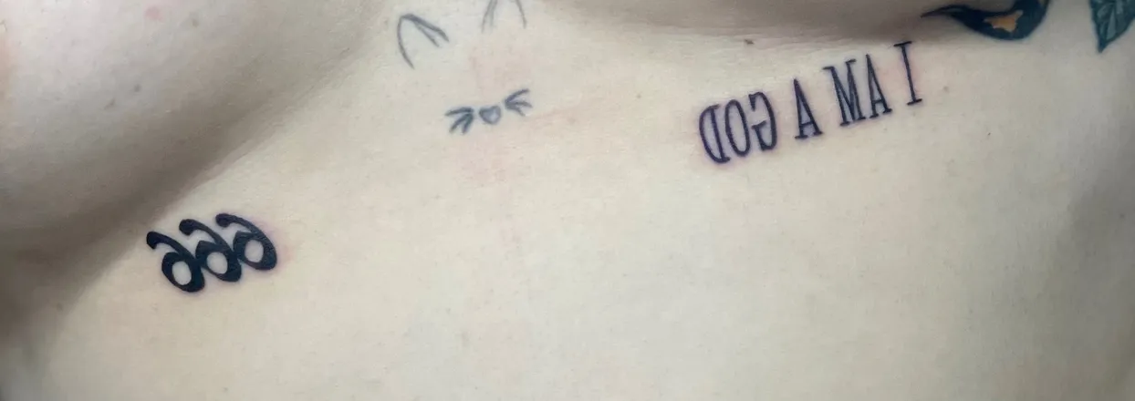 OnlyFans account  ladynuggets header 2