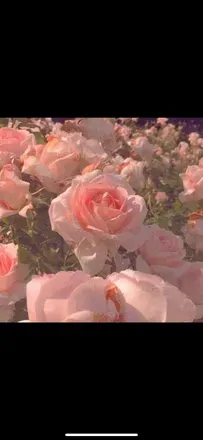 OnlyFans cuenta sloppyscarlet header 2