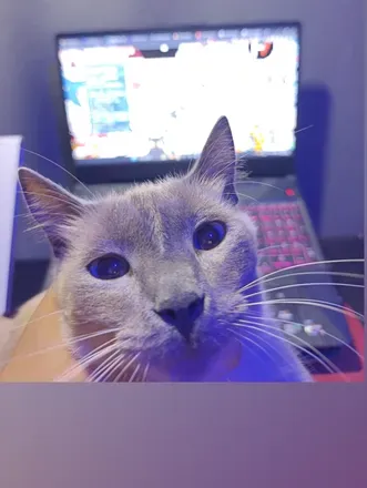 OnlyFans cuenta jonnytripmx avatar 1