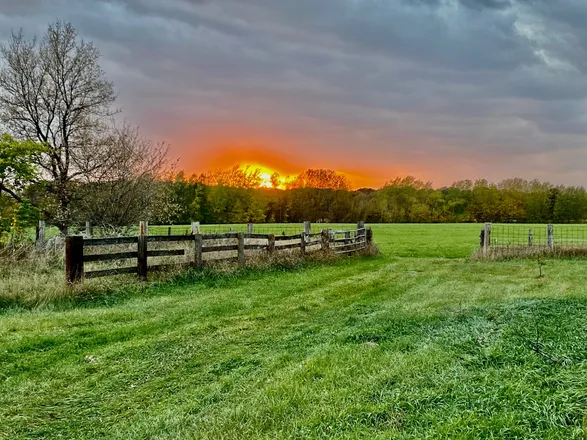 OnlyFans cuenta crazedcountryboy header 2