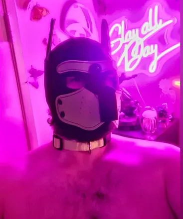 OnlyFans cuenta a_pup_named_beef avatar 1