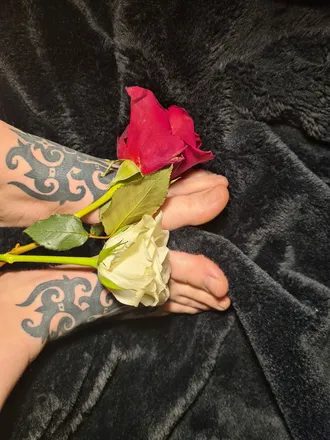 OnlyFans cuenta velvet_cinnamon header 2