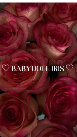 OnlyFans cuenta babydolliriss header 2