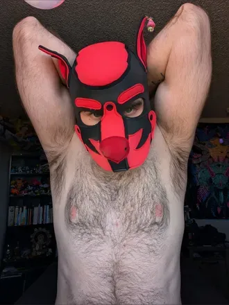 OnlyFans cuenta puppsybin avatar 1