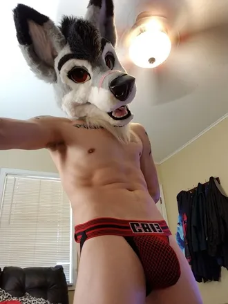 OnlyFans cuenta stallionwolf header 2