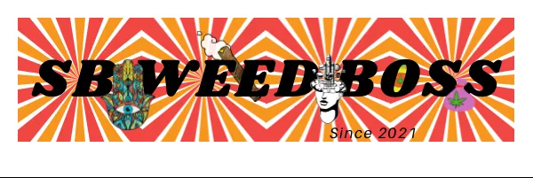 OnlyFans cuenta smashworld93 header 2