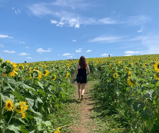 OnlyFans account  careforthegarden header 2
